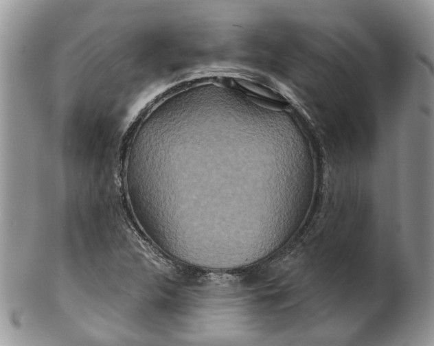 X0000099501312200806051113