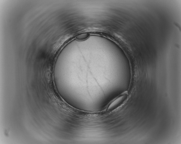 X0000099501313200806051113