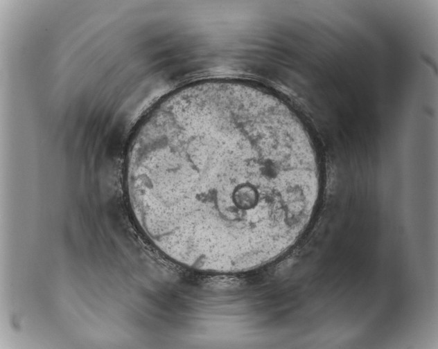 X0000099501314200806051113