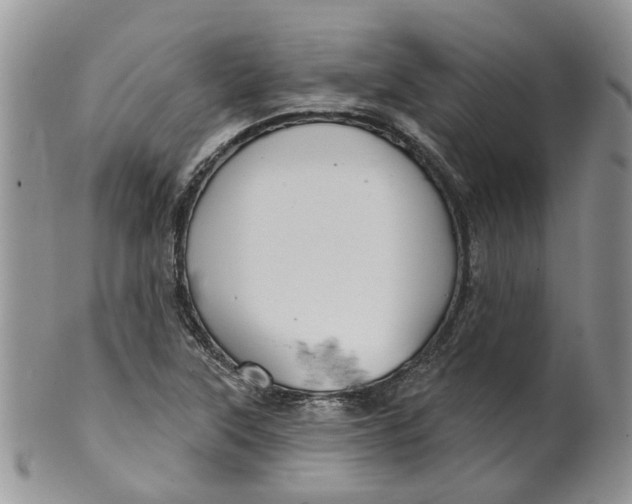 X0000099501315200806051113