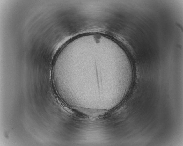 X0000099501316200806051113