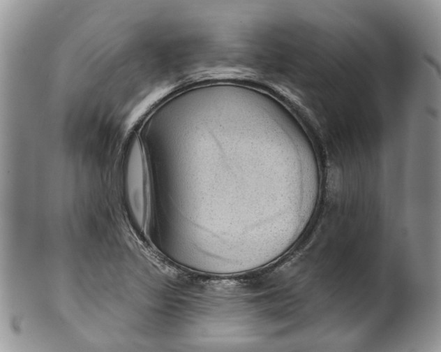 X0000099501317200806051113