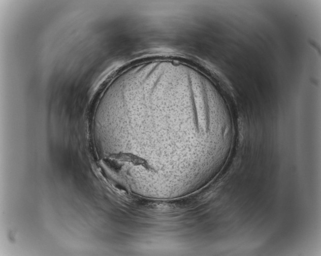 X0000099501318200806051113