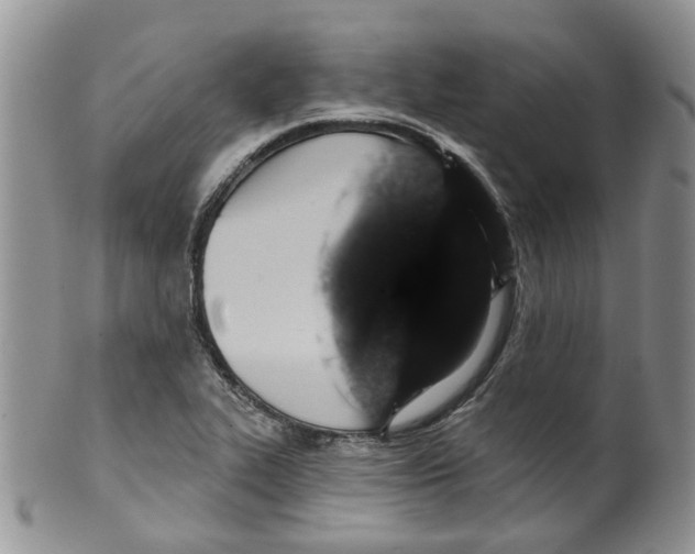 X0000099501319200806051113