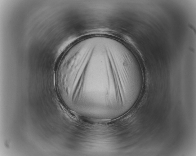 X0000099501320200806051113