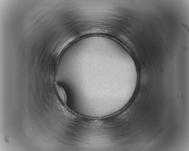 X0000099501321200806051113