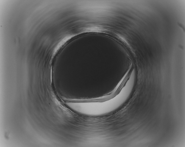 X0000099501323200806051113