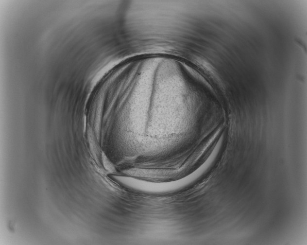 X0000099501324200806051113