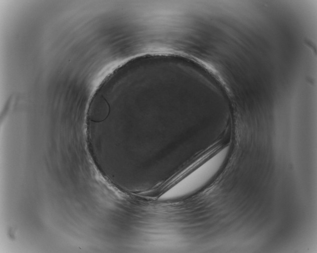 X0000099501327200806051113