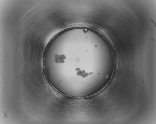 X0000099501328200806051113