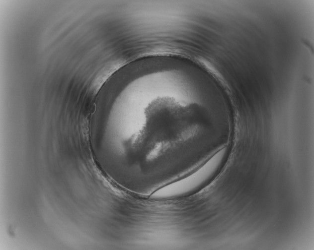 X0000099501329200806051113