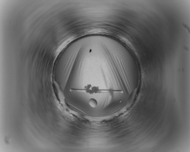 X0000099501330200806051113