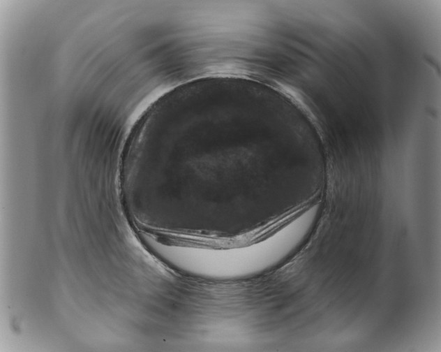 X0000099501331200806051113