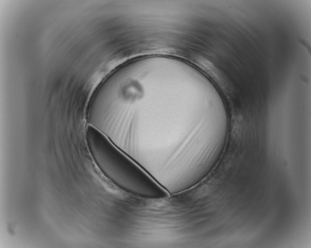 X0000099501332200806051113