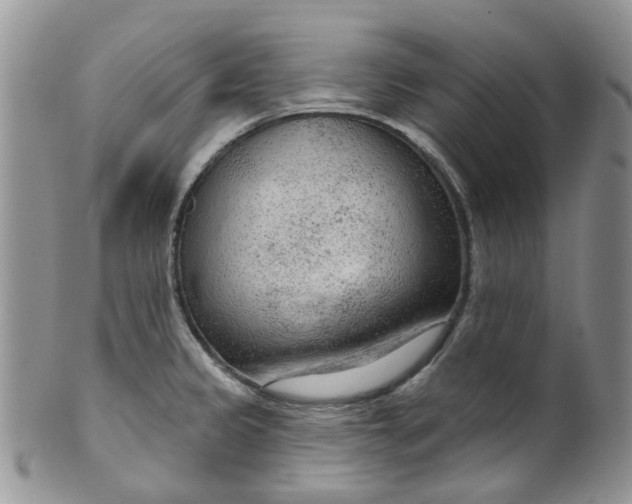 X0000099501333200806051113