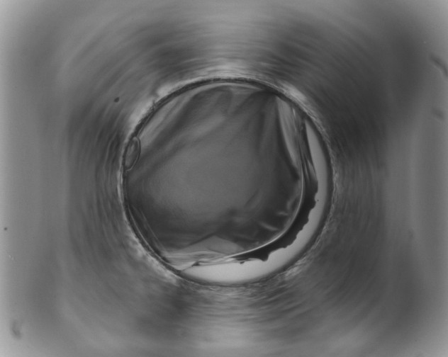 X0000099501334200806051113