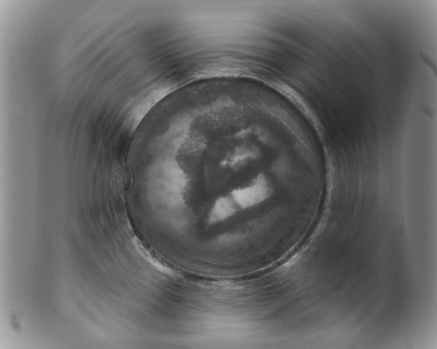 X0000099501337200806051113