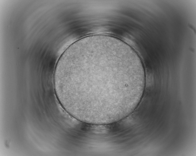 X0000099501338200806051113