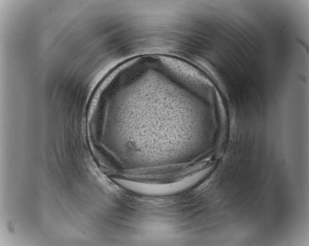 X0000099501340200806051113