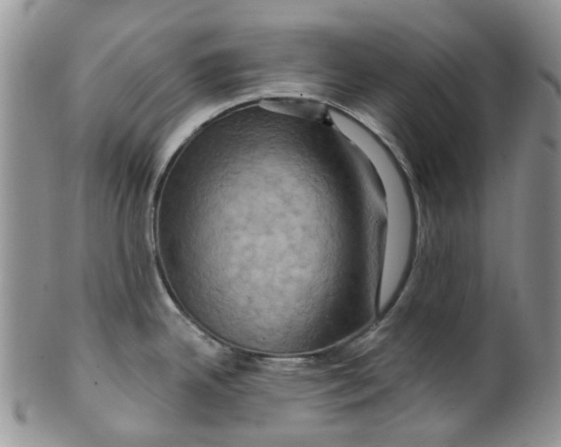 X0000099501342200806051113