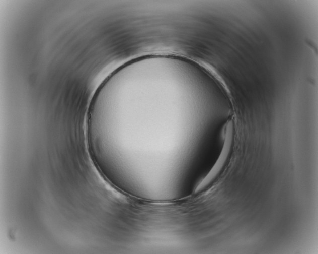 X0000099501343200806051113