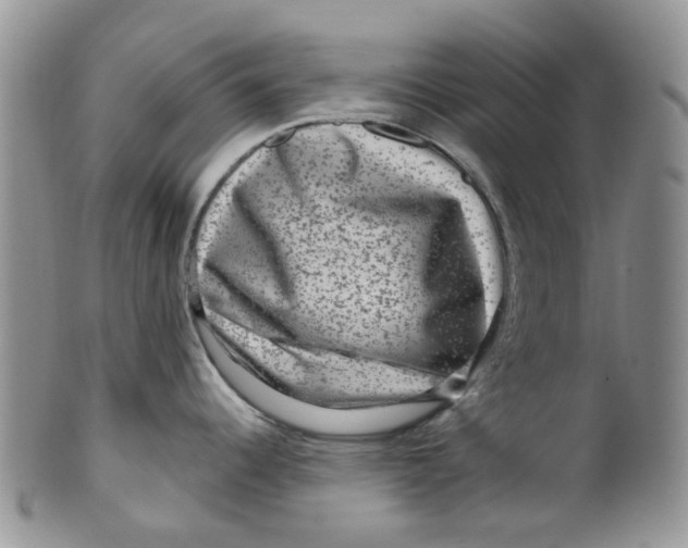 X0000099501344200806051113