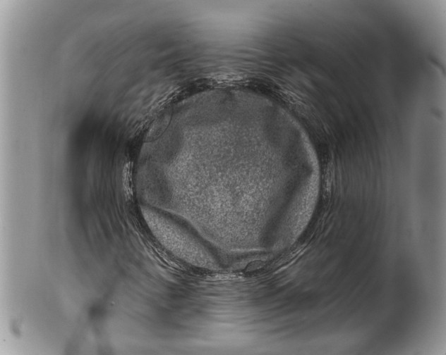 X0000099501346200806051112