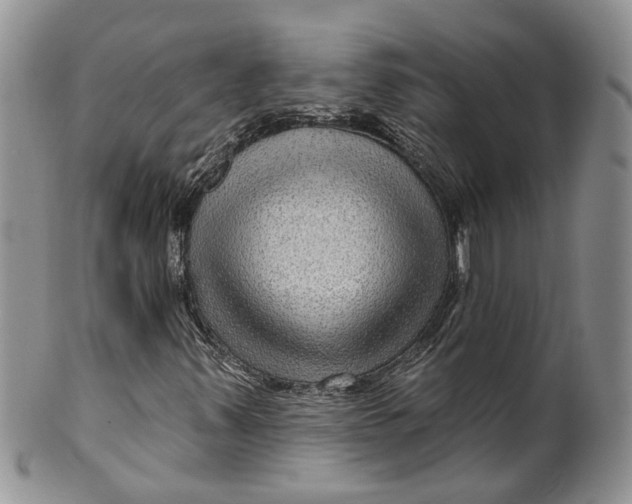 X0000099501347200806051112