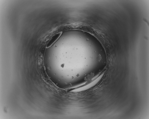 X0000099501349200806051112