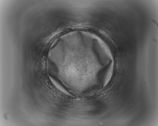 X0000099501350200806051112