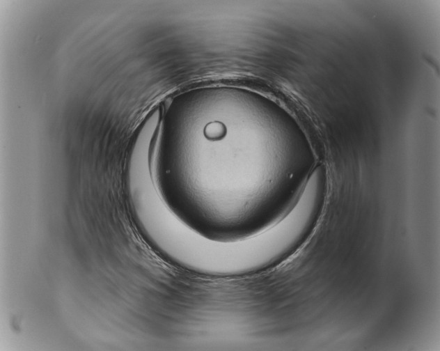 X0000099501353200806051112