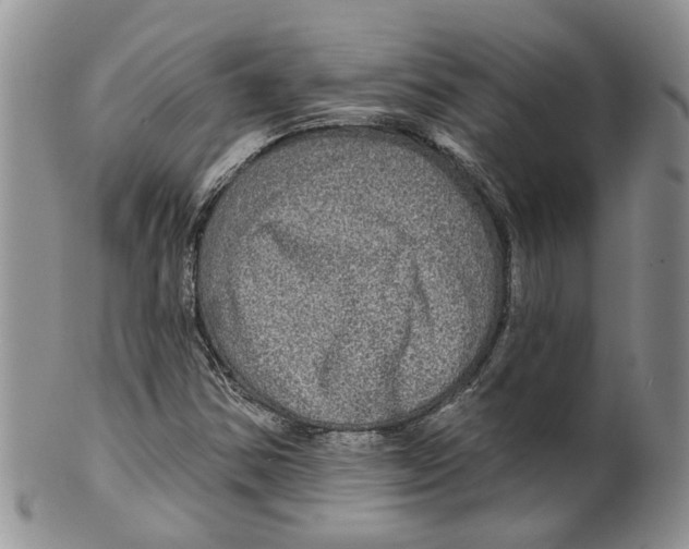 X0000099501354200806051112