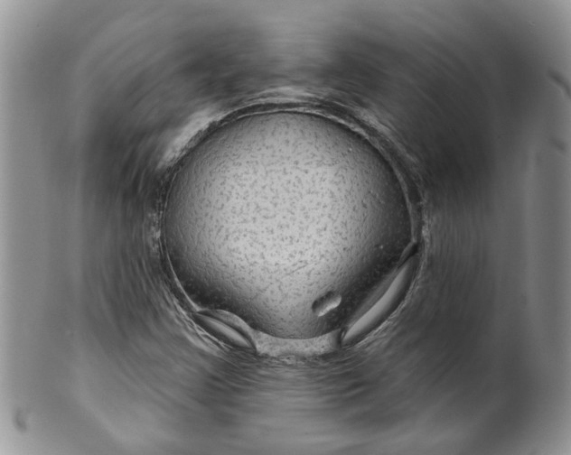 X0000099501355200806051112