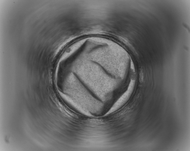 X0000099501356200806051112