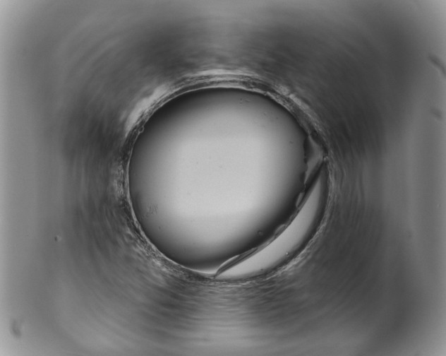 X0000099501357200806051112