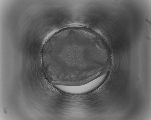 X0000099501358200806051112