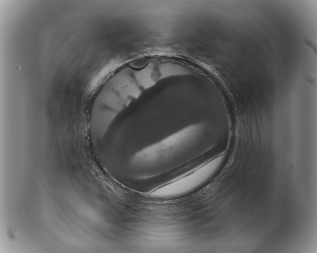 X0000099501359200806051112