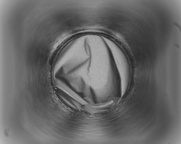 X0000099501360200806051112