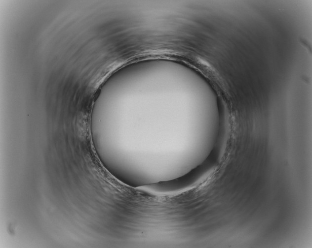 X0000099501361200806051112