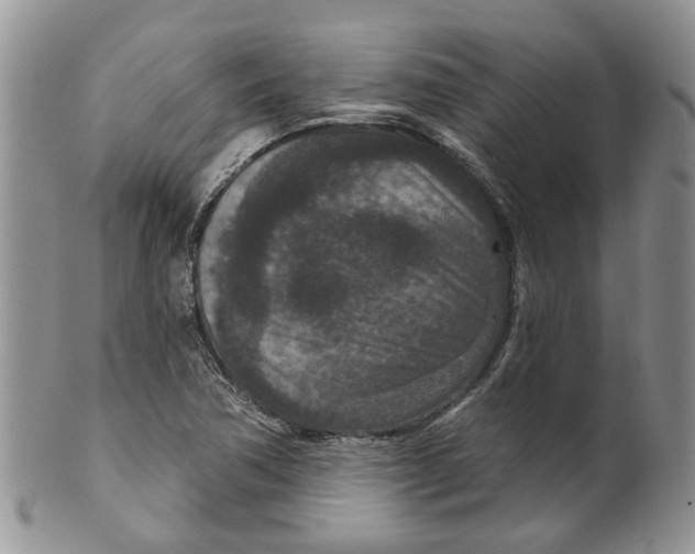 X0000099501362200806051112