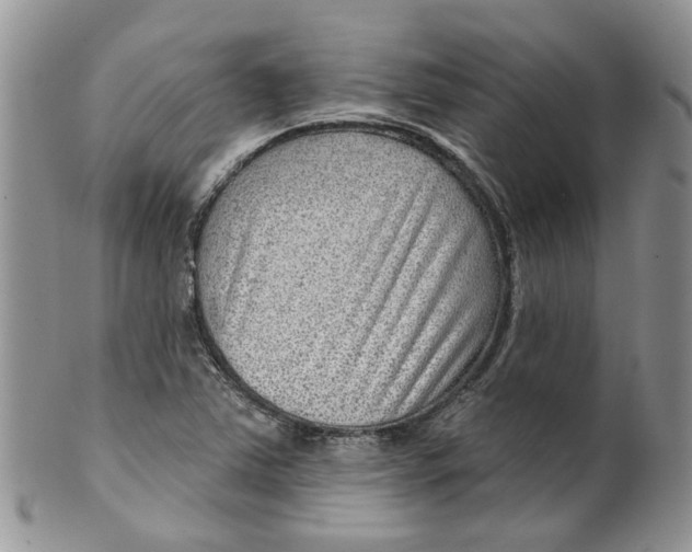 X0000099501363200806051112