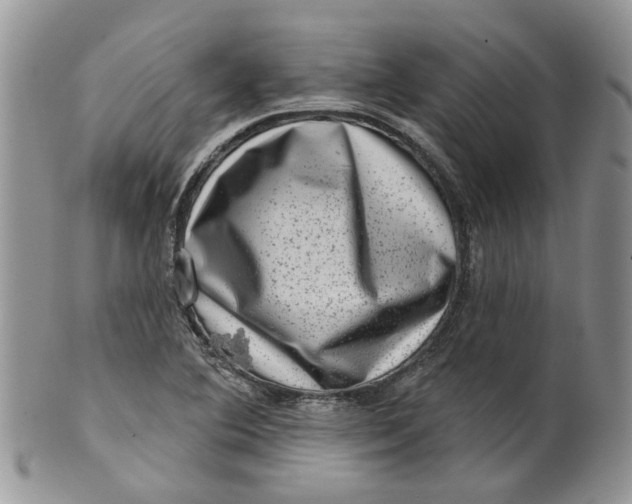 X0000099501364200806051112