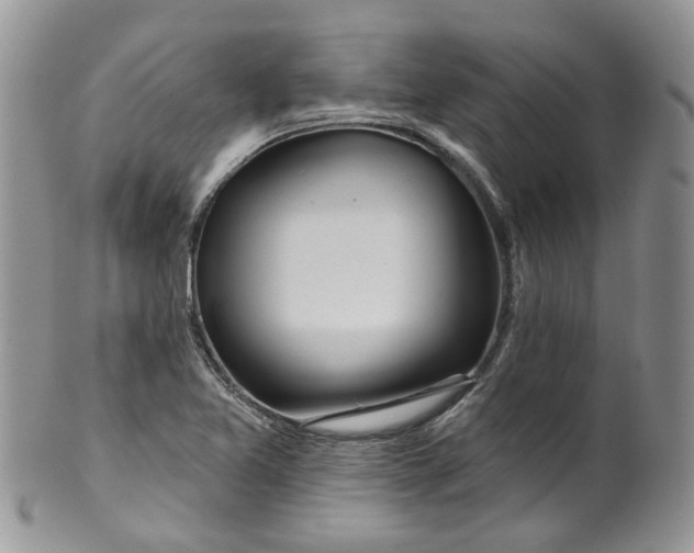 X0000099501365200806051112