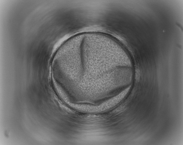 X0000099501366200806051112