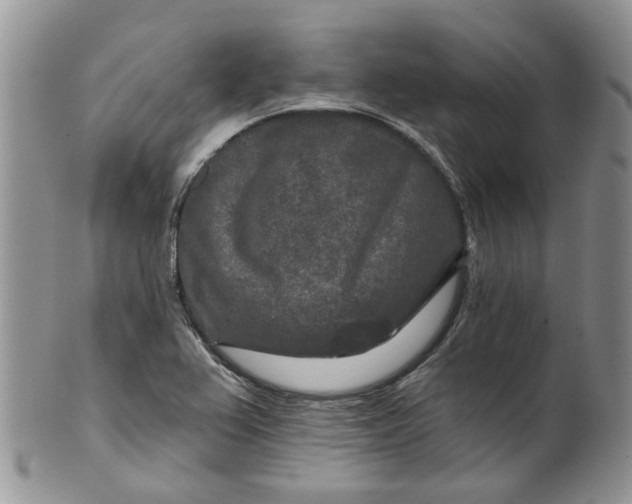 X0000099501367200806051112