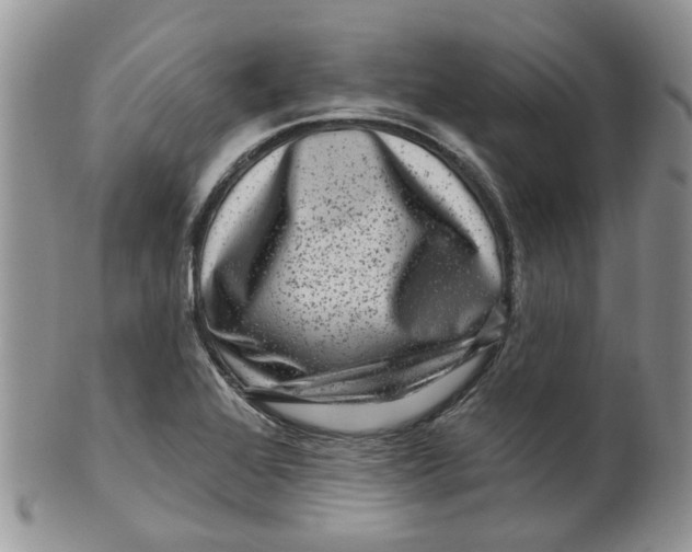 X0000099501368200806051112