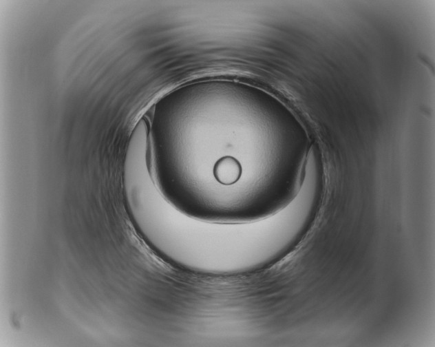 X0000099501369200806051112