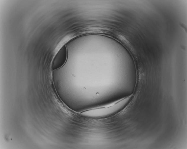 X0000099501370200806051112