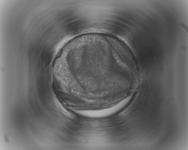 X0000099501371200806051112