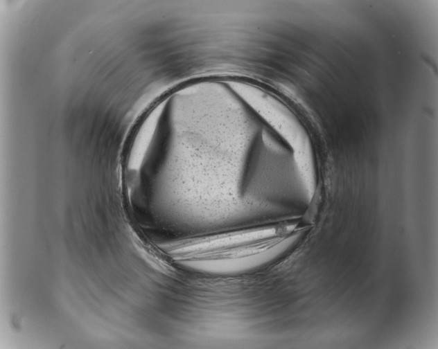 X0000099501372200806051112